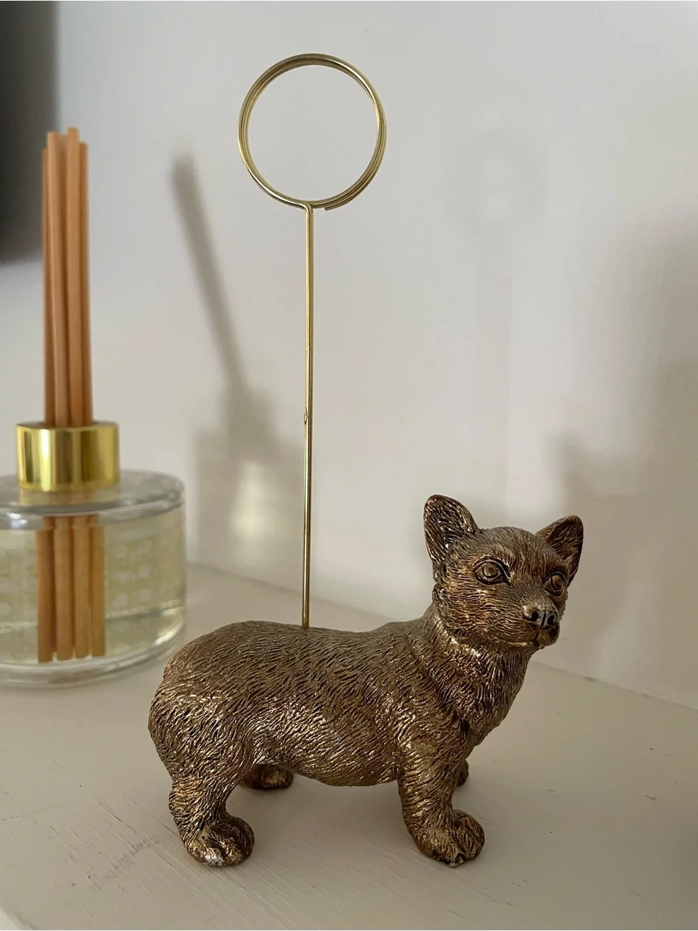 Anthropologie cute corgi